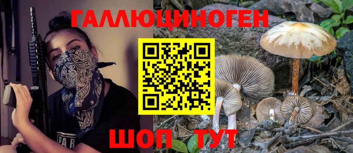 Псилоцибиновые грибы Psilocybe  Вход с VPN  Химки  Псилоцибиновые грибы ЛСД 