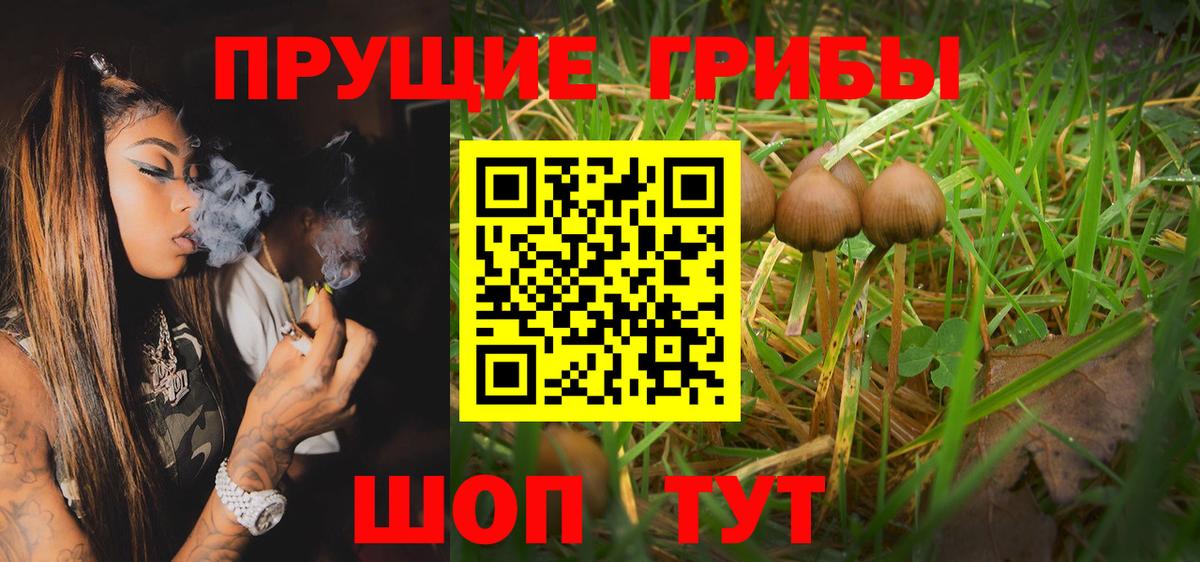 Галлюциногенные грибы мухоморы Химки